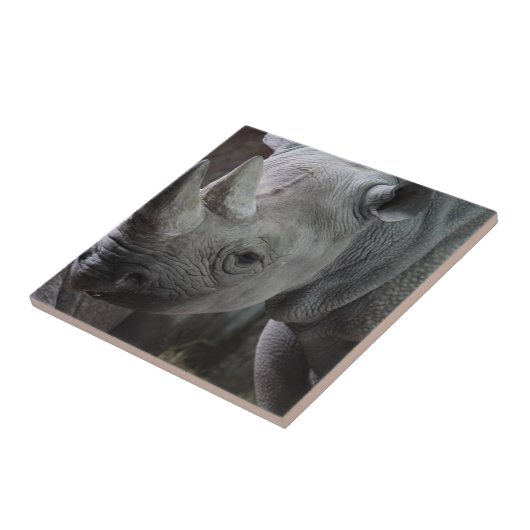 黒いサイの写真 タイル (側面)