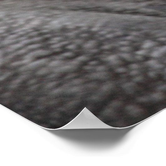 黒いサイの写真 ポスター (角)