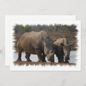 黒いサイの招待状 招待状 (正面/裏面)