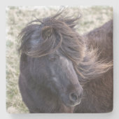 黒いシェトランド諸島子馬のコースター ストーンコースター (正面)