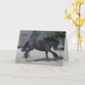 黒いジプシーのグリーティングカード カード (黄色い花)