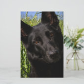 黒いジャーマン・シェパード 便箋 (スタンド正面)