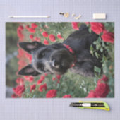 「黒いスコティッシュ・テリアの赤いバラ」 薄葉紙 (クラフト)