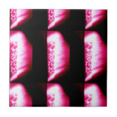 黒いタイルに赤 タイル (正面)