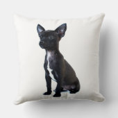 黒いチワワの子犬 クッション (裏面)