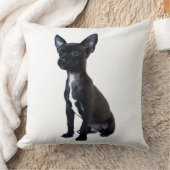 黒いチワワの子犬 クッション (ブランケット)