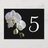 黒いテーブル番号の蘭 ポストカード (正面)
