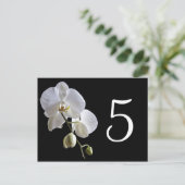 黒いテーブル番号の蘭 ポストカード (スタンド正面)