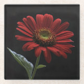 黒いデイジー離れの一つ ガラスコースター (正面)