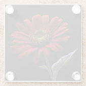 黒いデイジー離れの一つ ガラスコースター (裏面)