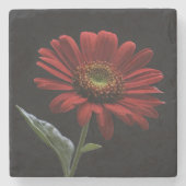 黒いデイジー離れの一つ ストーンコースター (正面)