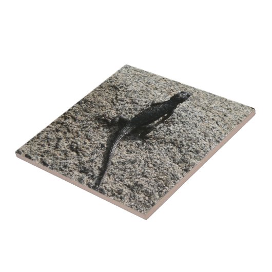 黒いトカゲ タイル (側面)