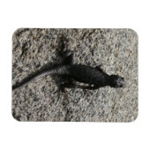 黒いトカゲ マグネット (横)
