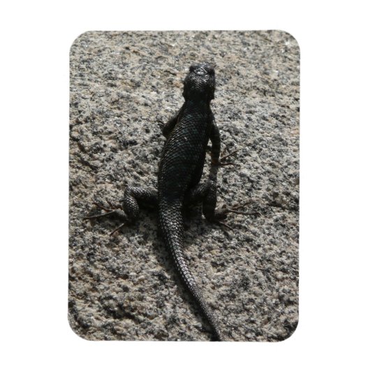黒いトカゲ マグネット (縦)