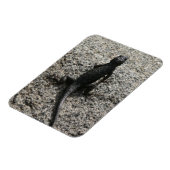 黒いトカゲ マグネット (左側)
