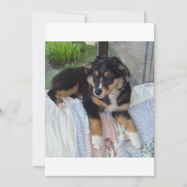 黒いトライプパシー・オージー (正面)