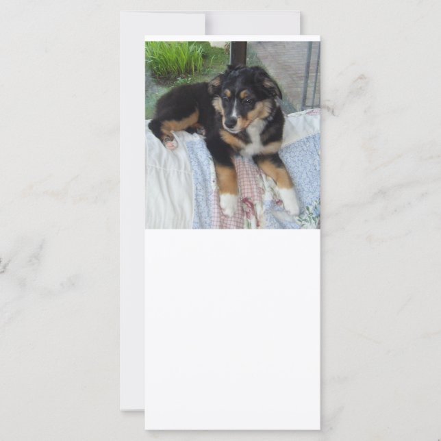 黒いトライプパシー・オージー (正面)