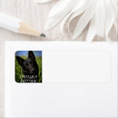 黒いドイツの羊飼いが腐ってしまった ラベル (インサイチュ)