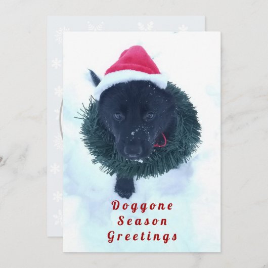 黒いドイツの羊飼い子犬のリース, ZKA シーズンカード (正面/裏面)