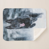 黒いドイツの羊飼い雪ダベットカバー シェルパブランケット (正面(横))