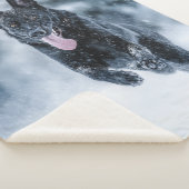 黒いドイツの羊飼い雪ダベットカバー シェルパブランケット (3/4)