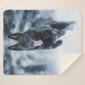 黒いドイツの羊飼い雪ダベットカバー シェルパブランケット (正面(横))