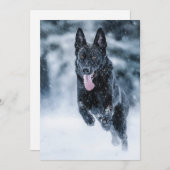 黒いドイツの羊飼い雪ダベットカバー シーズンカード (正面/裏面)