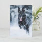 黒いドイツの羊飼い雪ダベットカバー シーズンカード (スタンド正面)