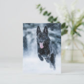 黒いドイツの羊飼い雪ダベットカバー ポストカード (スタンド正面)