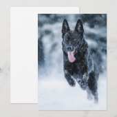 黒いドイツの羊飼い雪ダベットカバー 招待状 (正面/裏面)