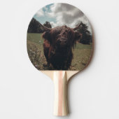 黒いハイランドのスコットランド牛が草を食むビンテージ・レトロ 卓球ラケット (正面)