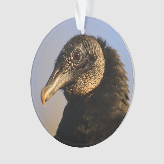 黒いハゲタカ オーナメント (正面)