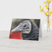 黒いハゲワシの写真 カード (黄色い花)