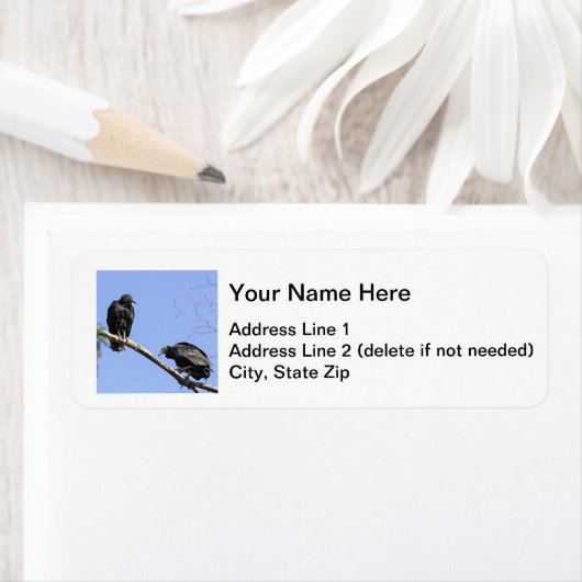 黒いハゲワシ ラベル (インサイチュ)