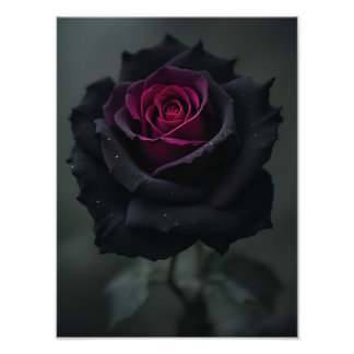 黒いハートのバラ フォトプリント