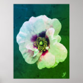 黒いハートの白いバラ – 油 ポスター (正面)