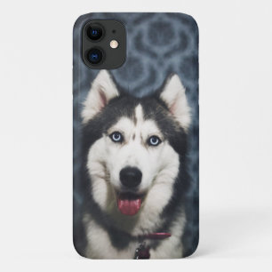黒いバックグラウンドでポーズをとるハスキーな子犬 iPhone 11 ケース