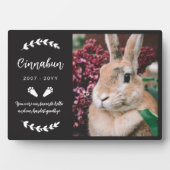 黒いバニーのポーズグリーン写真ラビットメモリアル フォトプラーク (正面)