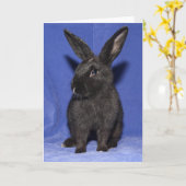 黒いバニー・ウサギ カード (黄色い花)