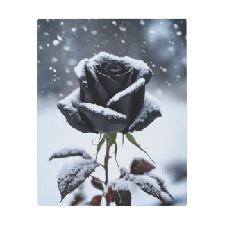 黒いバライン雪 – Moody Winterフローラ メタルプリント