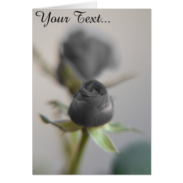 黒いバラ (正面)