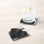 黒いパグの子犬 コースター (右側)