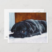 黒いパグの子犬 ポストカード (正面/裏面)