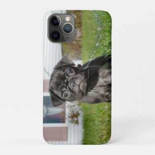 黒いパグの子犬 iPhone 11 PROケース