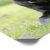 黒いパグの横 ポスター (角)