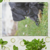 黒いパグの置くこと キッチンタオル (折り畳み)