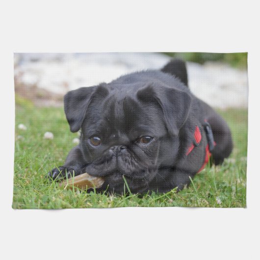 黒いパグの置くこと キッチンタオル (横)