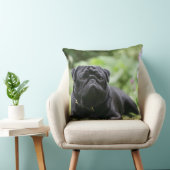 黒いパグの置くこと クッション (椅子)