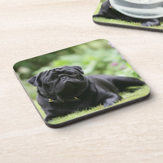 黒いパグの置くこと コースター (左側)