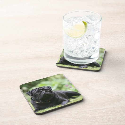 黒いパグの置くこと コースター (右側)